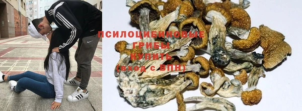 стаф Беломорск