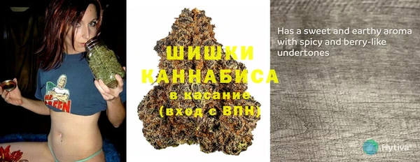 стаф Белоозёрский
