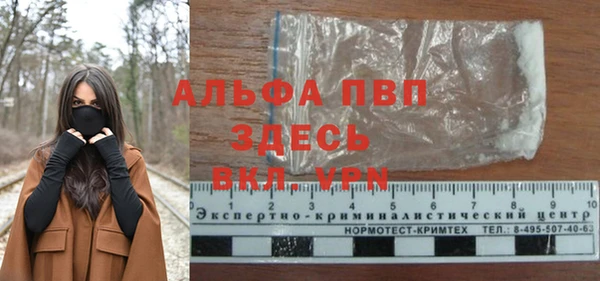 стаф Белоозёрский