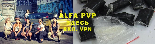 стаф Белоозёрский
