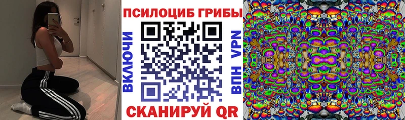 наркошоп  Мыски  Галлюциногенные грибы Magic Shrooms 